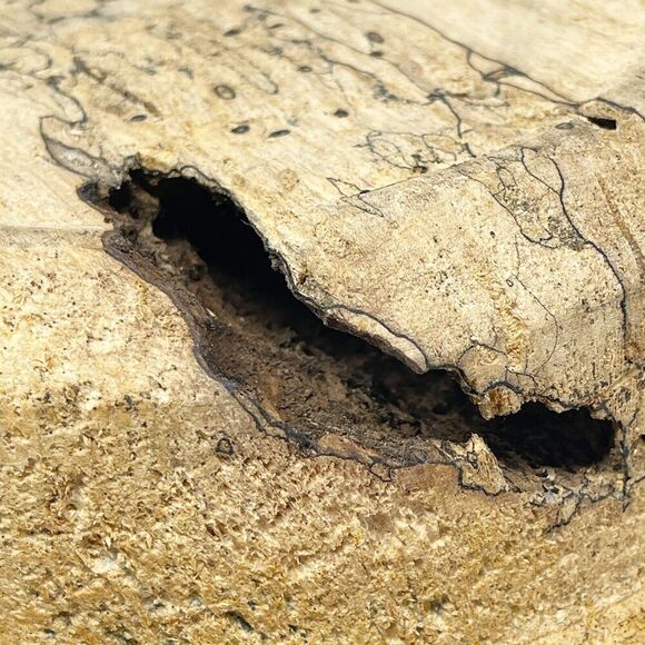 Hand Turned Spalted‎ Wood Bowl Pedestal Driftwood Coastal MCM Beach Primitive - Picture 8 of 10